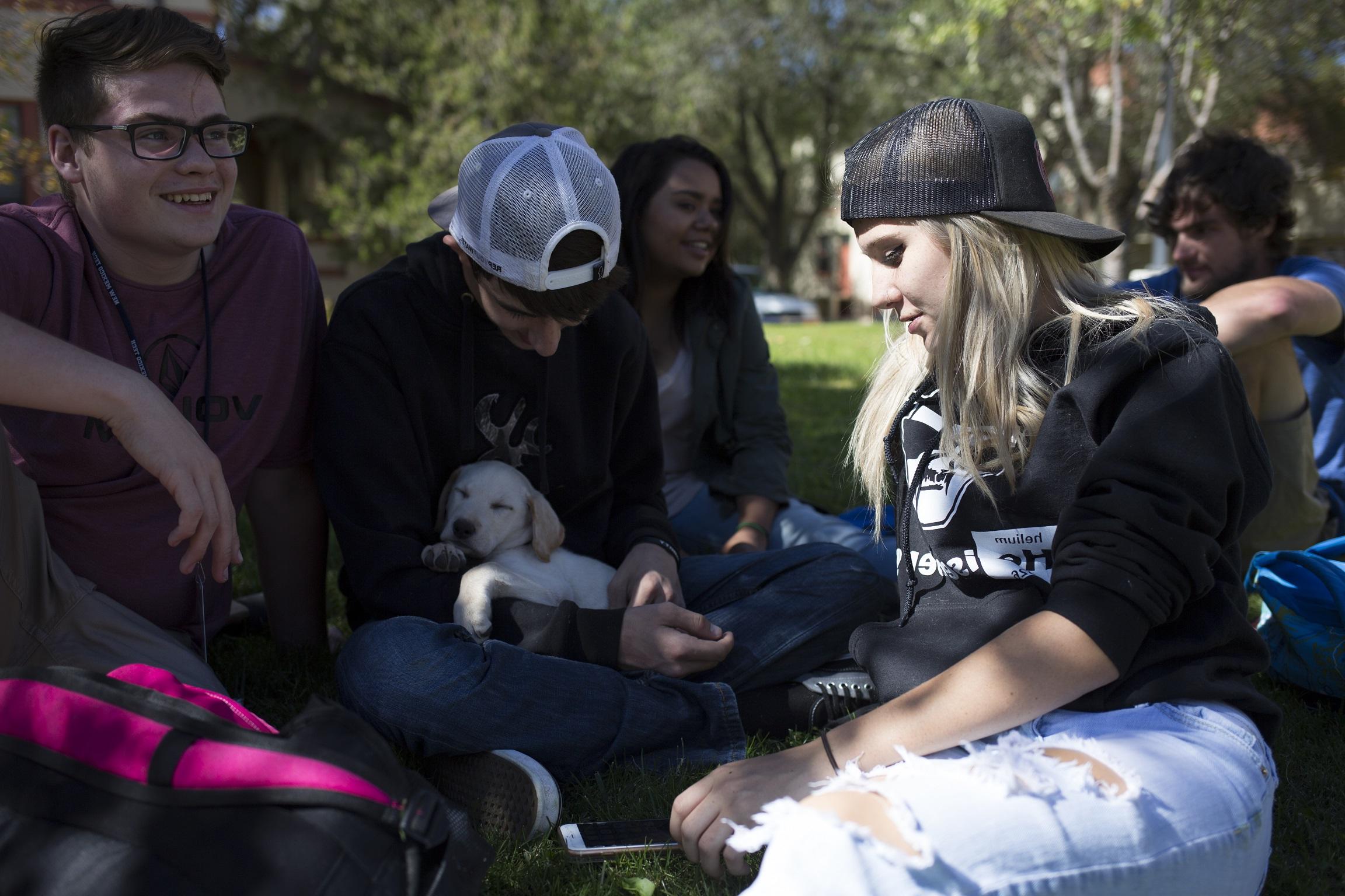 A group of students socializing in a grass area outside of the gym on campus.